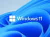 Microsoft Splits Windows 11 24H2