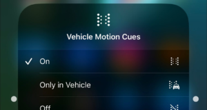 Vehicle Motion Cues